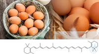 CDR FoodLab BETA-CAROTENE ON LIQUID EGG Test Kit 